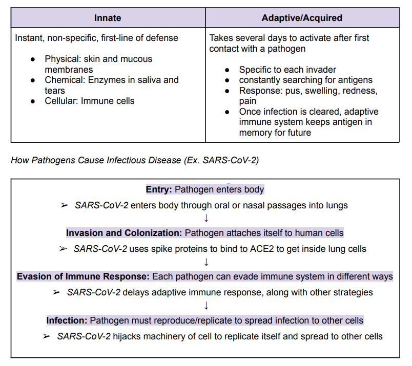 <p>➔ The physical, chemical and cellular barriers in place to remove and prevent foreign pathogens from entering our bodies</p><p></p>