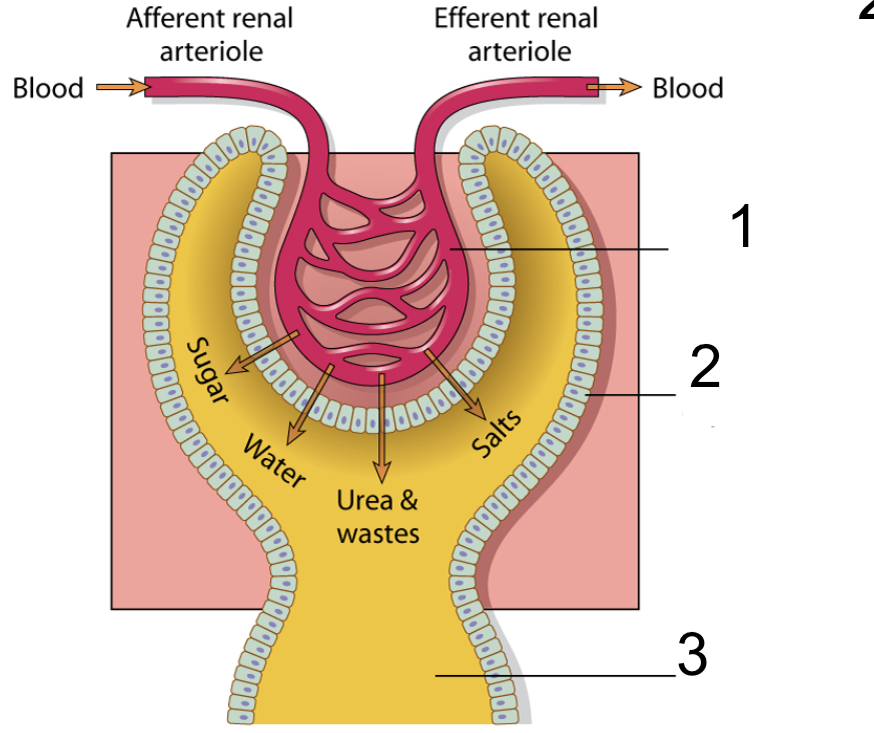 <p>What is number 2</p>