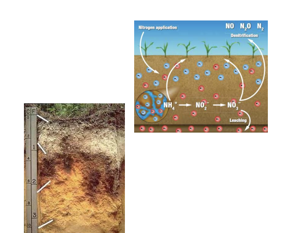 <p>what is <strong>translocation / soil leaching?</strong></p>
