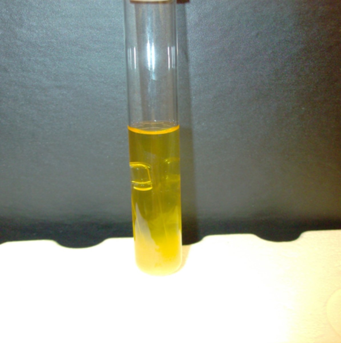 <p>- positive acid (yellow)</p><p>- positive gas (bubble formed)</p>
