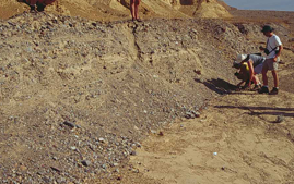 <ul><li><p>vertical displacements produced by faults at the surface (typically several feet) </p></li><li><p> usually the inclination and height are quickly reduced by erosion… </p></li><li><p> can provide a tool for timing the relative age of faults</p></li></ul><p></p>