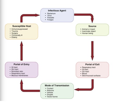 <p>what are the steps in chain of infection (with examples)</p>
