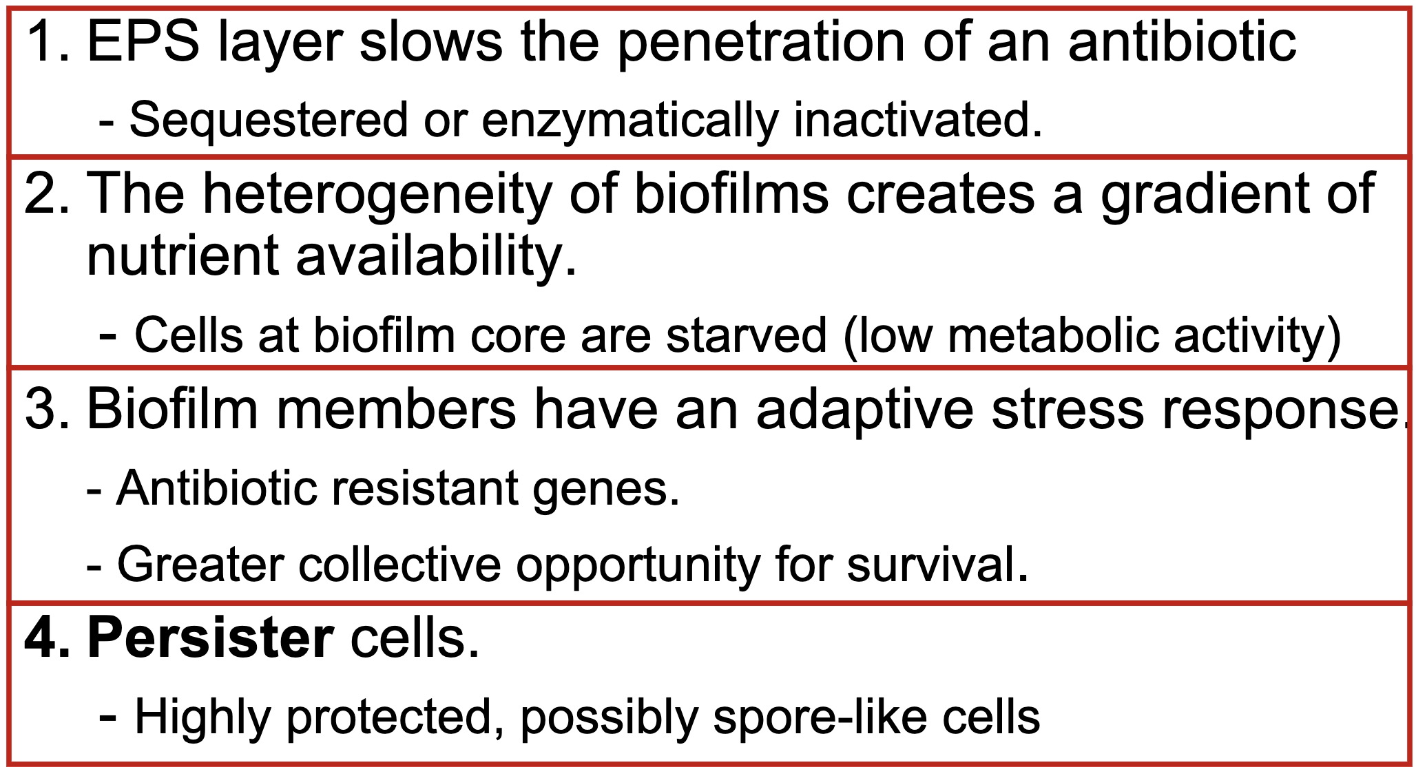 <ol><li><p><mark data-color="yellow">Sequestered or enzymatically inactivated by EPS</mark></p></li><li><p><mark data-color="yellow">Inhibits cells at biofilm core</mark>; starved (low metabolic activity)</p></li><li><p>Are adapted to <mark data-color="yellow">resist antibiotics</mark> and are a <mark data-color="yellow">large enough colony</mark> to increase chances of survival</p></li><li><p>Made of <mark data-color="yellow">Persister cells</mark> (Highly protected, possibly spore-like cells)</p></li></ol>