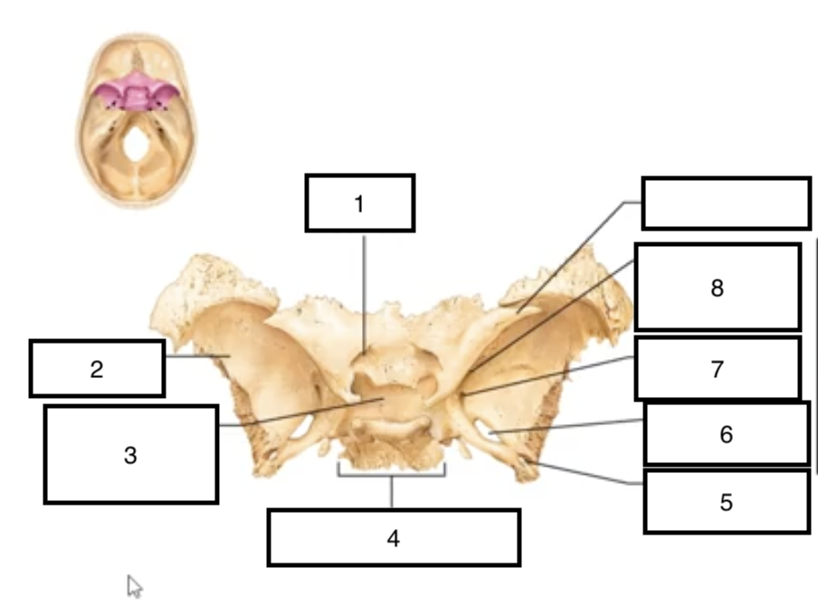 <p>8</p>