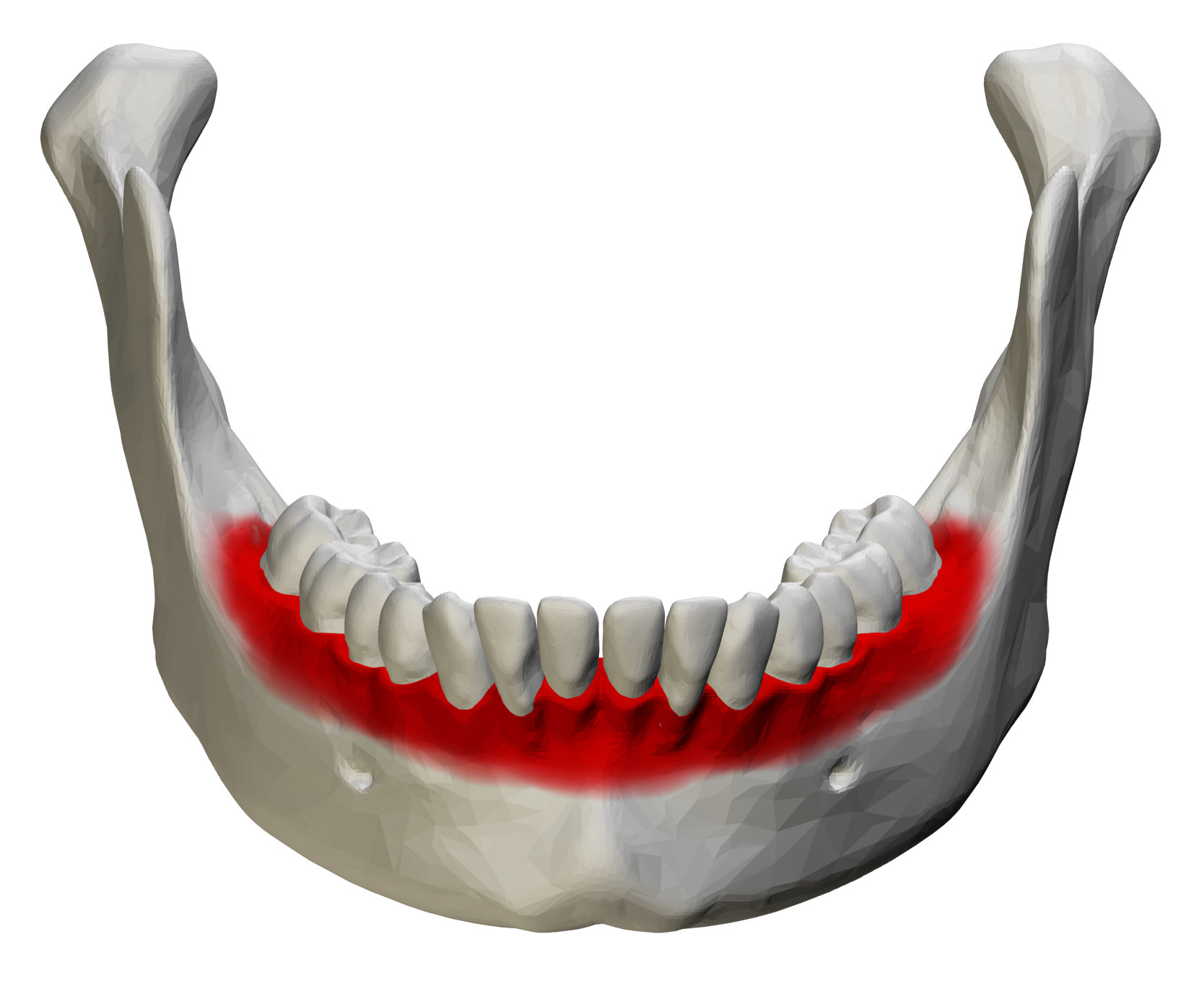 <p>ID bone</p>
