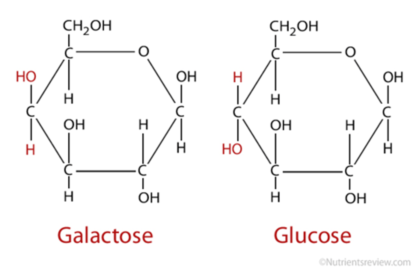 <p>A hexose (six-carbon), is a SIMPLE sugar, the primary monosaccharide and the body's main source of energy (most important metabolic "fuel")</p>