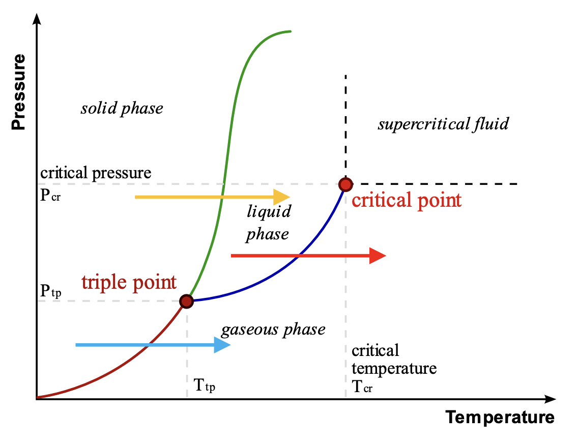 <p>Phase changes (melting/liquefying, boiling/vaporizing, sublimating) occur when enough energy is supplied to overcome intermolecular forces</p><p></p>