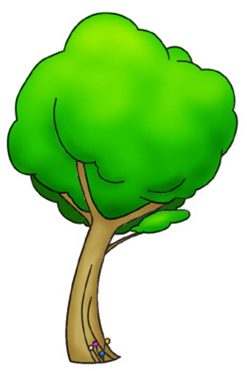 <p>дерево</p>