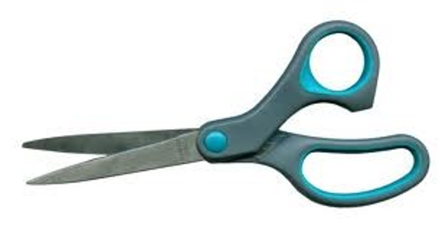 <p>the scissors</p>