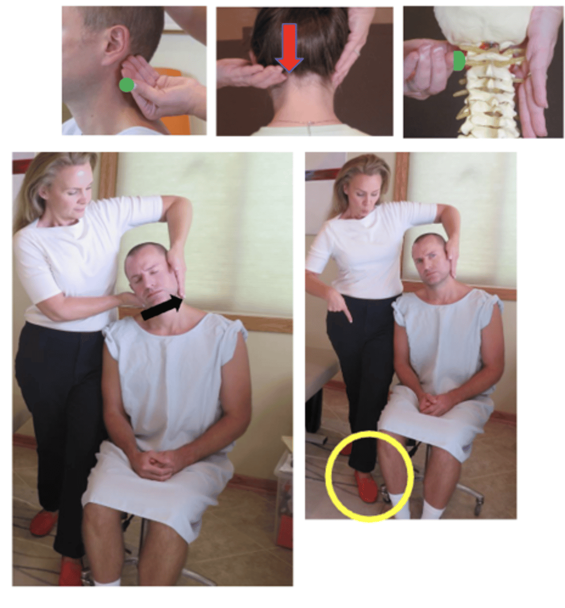 <p>• PP: Seated in a chair with a back, permission to contact the neck, identify how you found the segment</p><p>• DP: Stand behind patient, side of contact, doctor has leg OPPOSITE of contact hand forward, tissue slack S-I</p><p>• CH: Proximal ventral surface of index of the hand corresponding to the side of segmental contact, on posterior aspect of ATLAS TP, palm up, wrist straight, remaining fingers cup lower occiput</p><p>• IH: Indifferent hand #1, elbow up and forearm pointing down, fingers pointing down, stabilize opposite occiput and cheek</p><p>• Vec: L-M• **"TRANSLATION" of C1 due to 5° of lateral flexion</p>