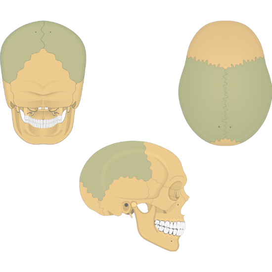 left one and right one