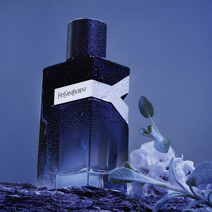 <p>quels sont les différents  fragrance de la ligné  Yves saint Laurent </p>