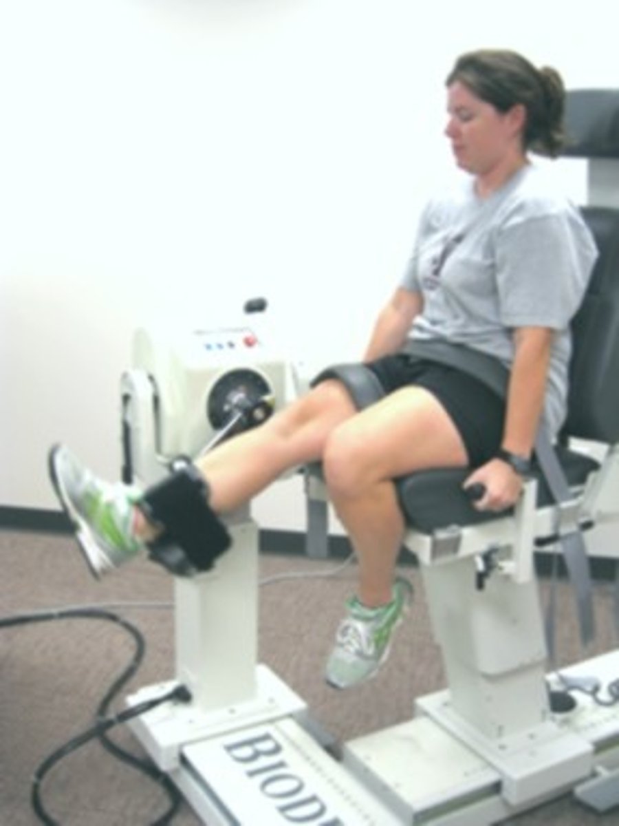 <p>A muscle contraction with constant speed</p>