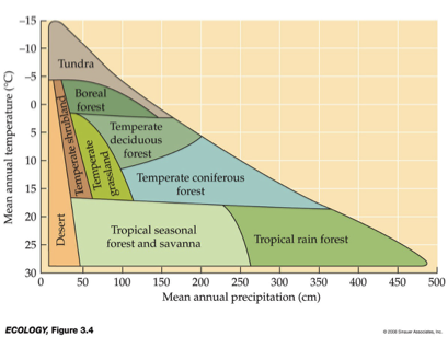 <p>Tropical Rainforest</p><p><span style="font-family: "Wingdings 3";"><span>u</span></span><span style="font-family: "Trebuchet MS";"><span>Notice the stability of temperature in the top figure.&nbsp;</span></span></p><p><span style="font-family: "Wingdings 3";"><span>u</span></span><span style="font-family: "Trebuchet MS";"><span>Also, notice the actual temperature.</span></span></p><p><span style="font-family: "Wingdings 3";"><span>u</span></span><span style="font-family: "Trebuchet MS";"><span>At what latitudes do you see such temperatures?</span></span></p><p><span style="font-family: "Wingdings 3";"><span>u</span></span><span style="font-family: "Trebuchet MS";"><span>Also notice the total amount of rainfall.&nbsp; For reference, Baton Rouge receives 1,411 mm annually</span></span></p>