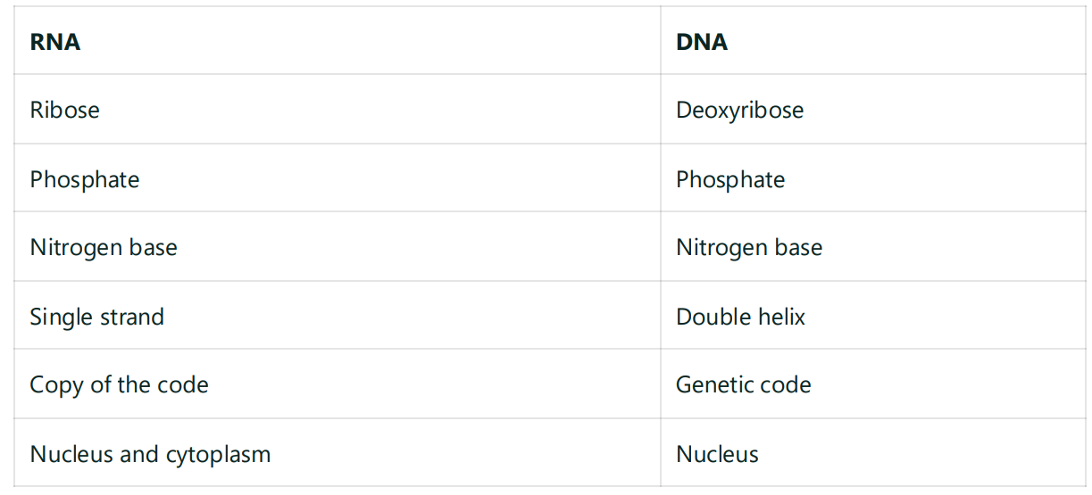 DNA/RNA comparison