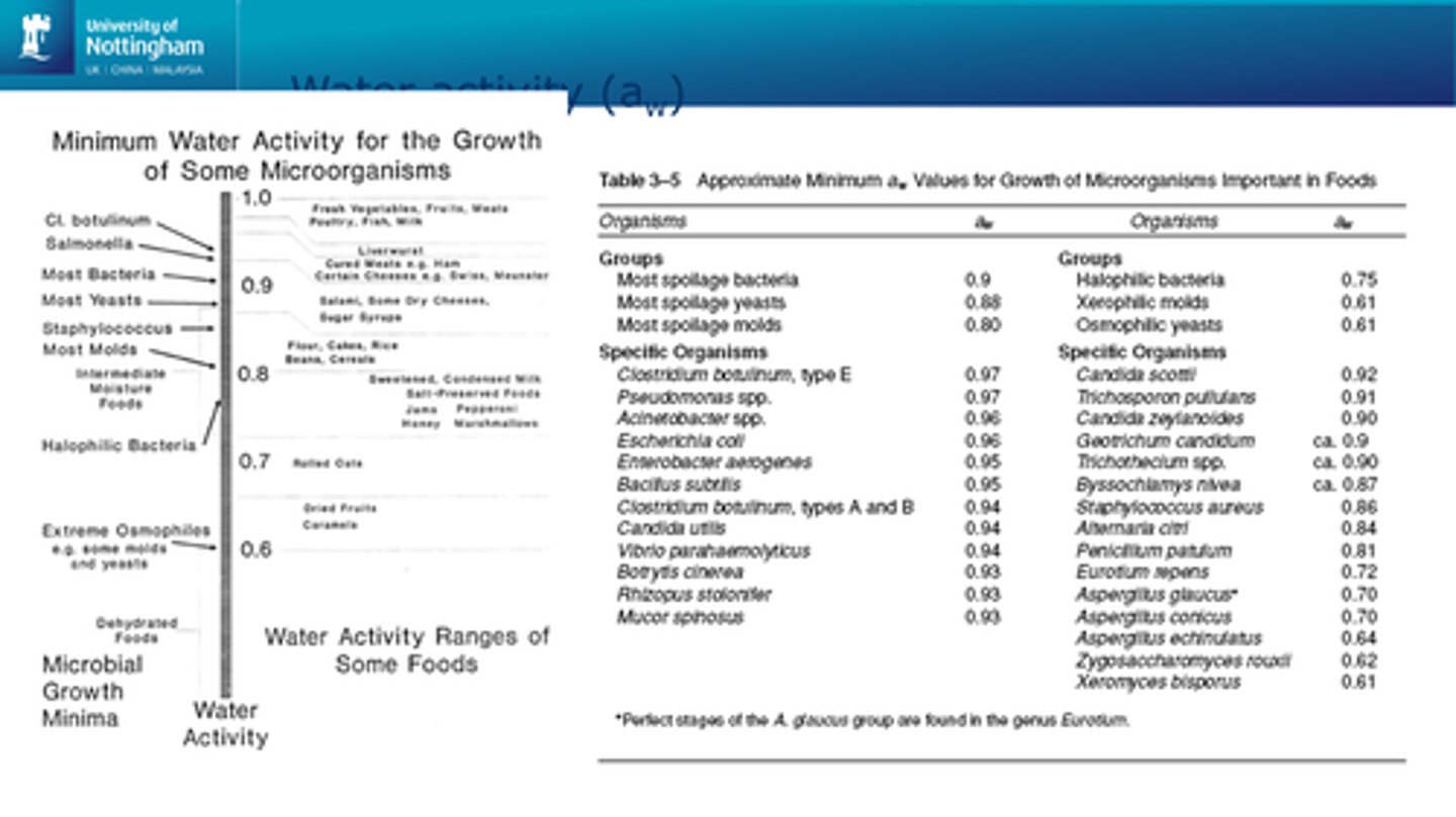 <p>Measure of how efficiently the water present can take part in a chemical (physical) reaction</p><p>Reducing the amount of water available for microbial growth is an extremely important and very ancient way of preserving foods - minimising spoilage/ growth of pathogenic microorganisms</p>