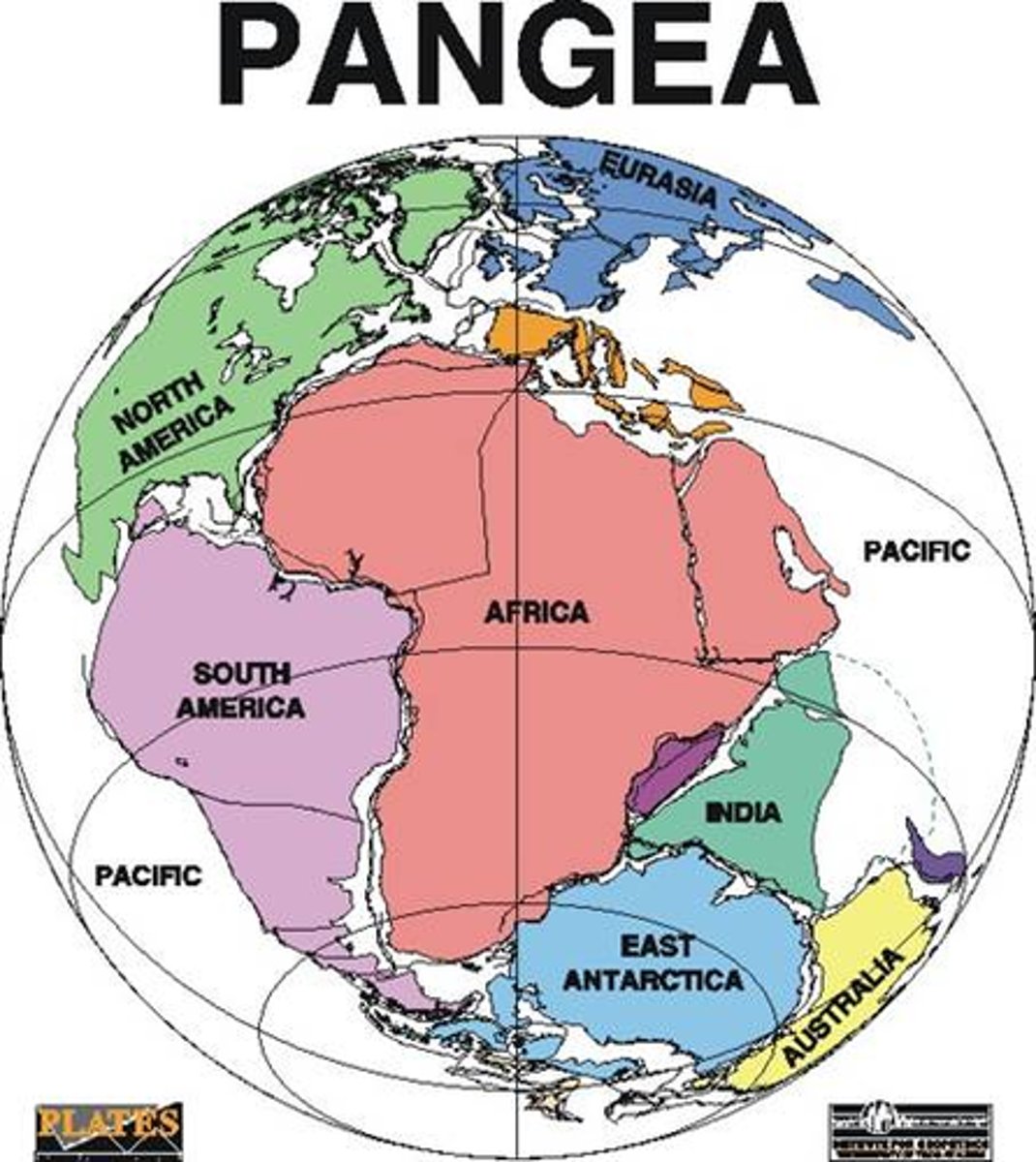 <p>large, ancient landmass that was composed of all the continents joined together</p>