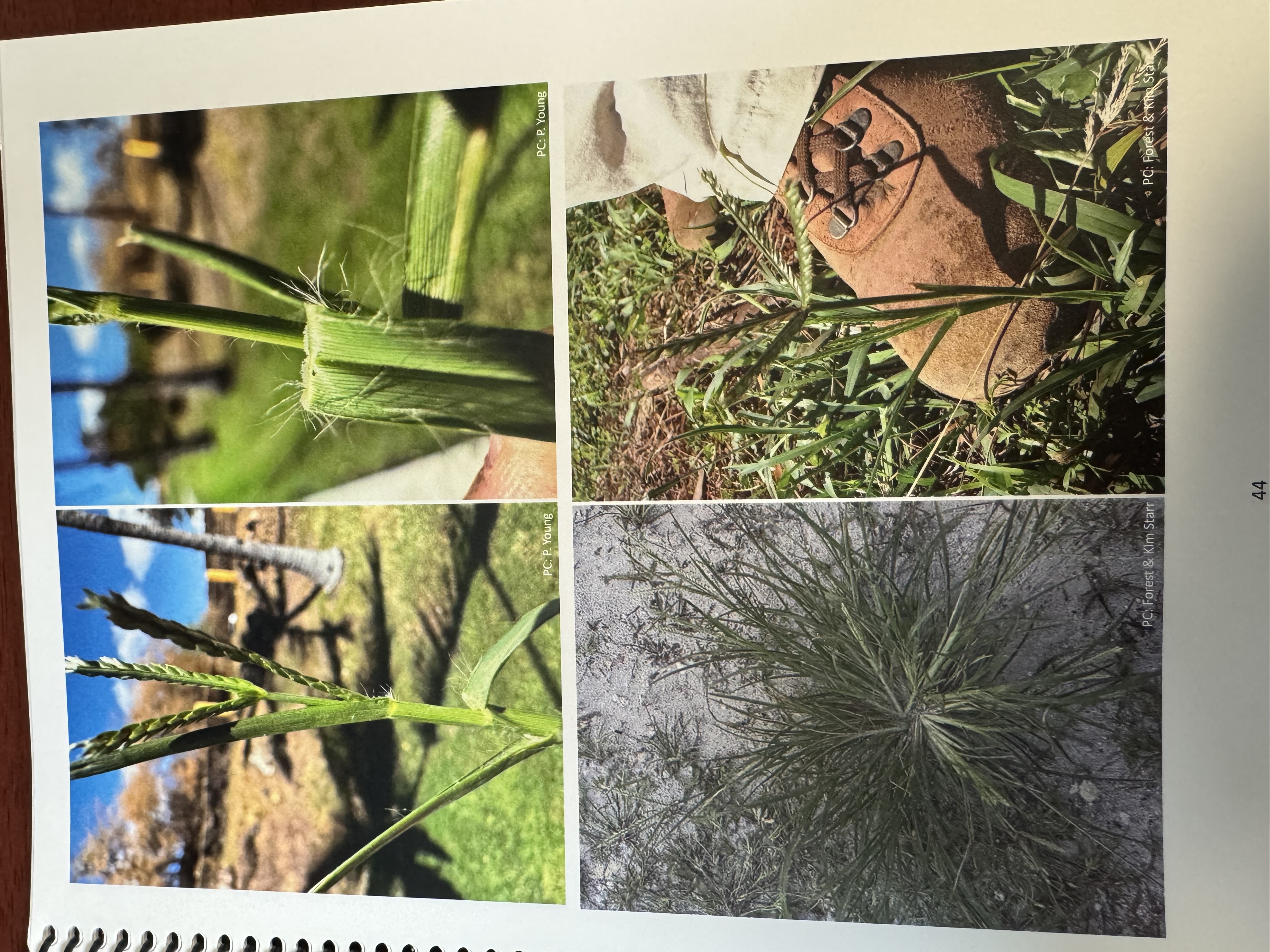 <img src="blob:null/a2d72779-ef92-4866-8f21-290568a93a78"><p></p>