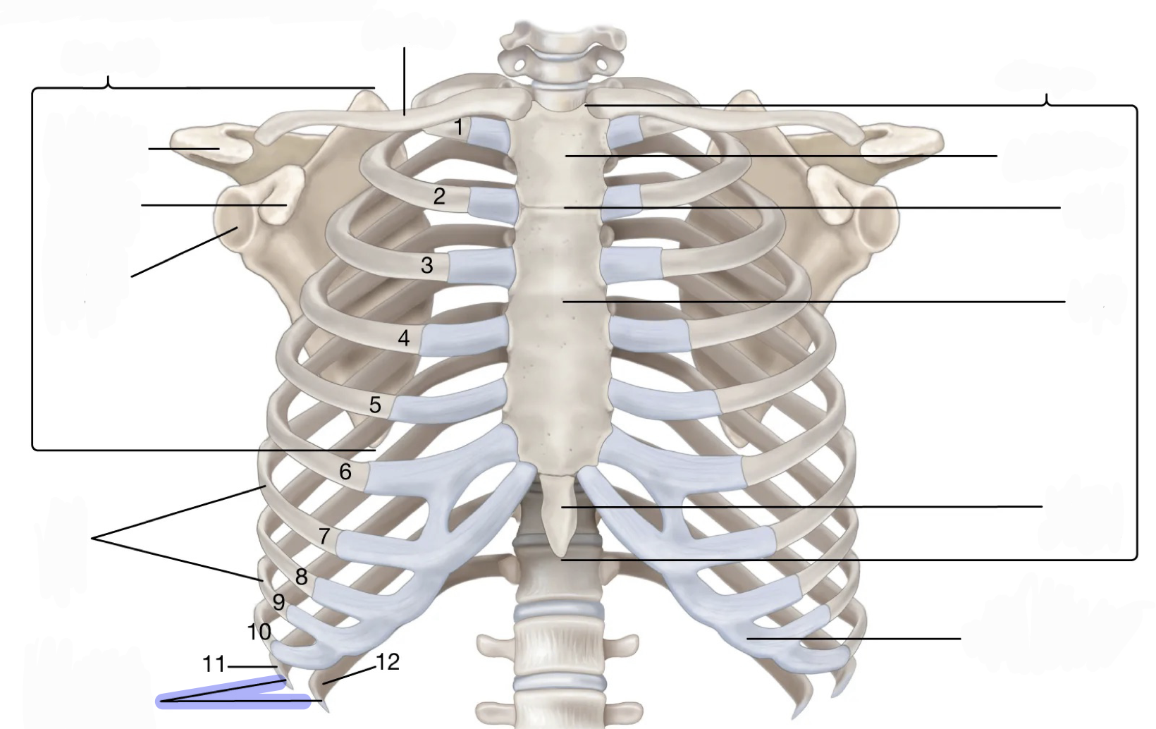 knowt flashcard image