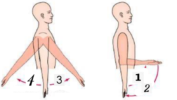 term image