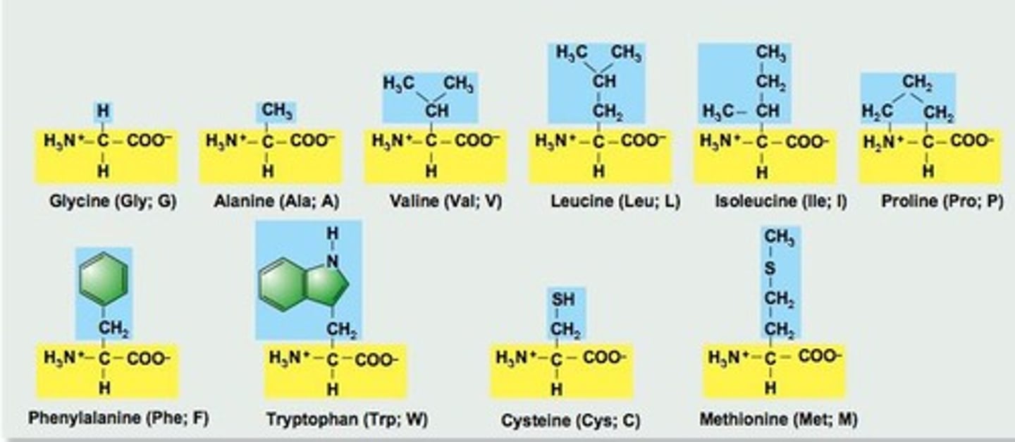 <p>Polar functional groups include hydroxyl (R-OH), carbonyl (R-C=O), carboxyl (R-COOH), amino (R-NH2), sulfhydryl (R-SH), phosphate (R-PO4), and sulfate (R-SO4).</p>