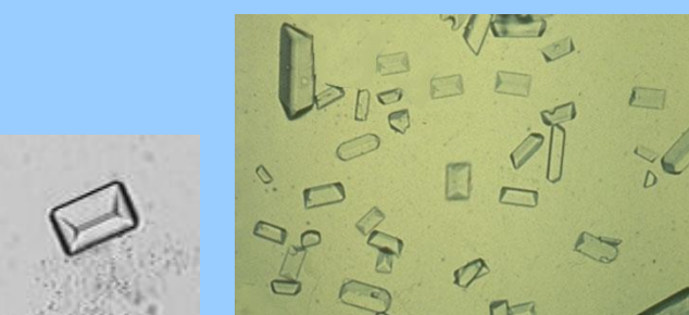 <p>What are these?</p>
