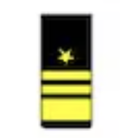 <p>One gold 2-inch stripe below two gold 1/2- inch stripes below a gold five pointed star (O9)</p>