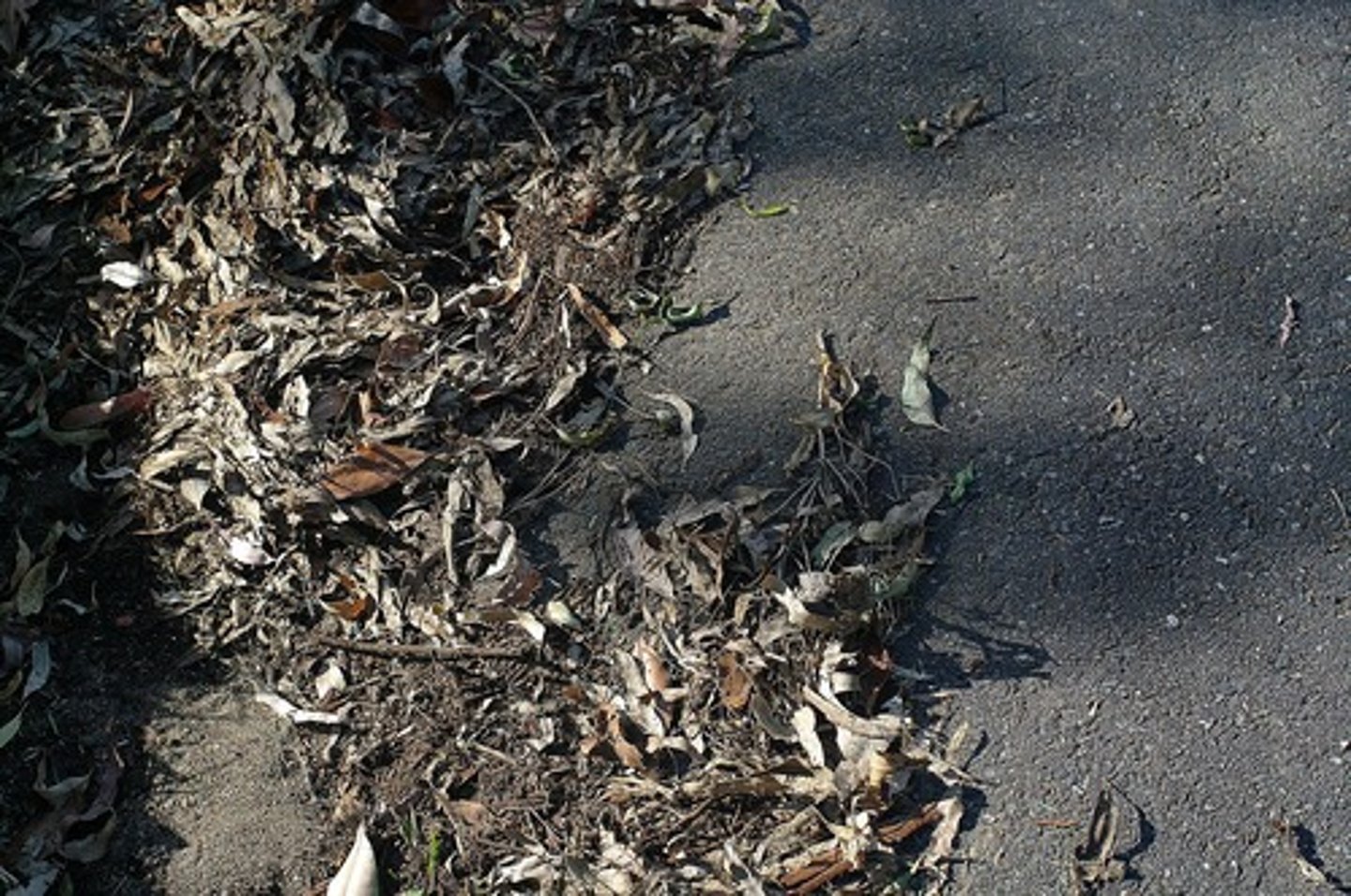 <p>(n.) loose bits and pieces of material resulting from disintegration or wearing away; fragments that result from any destruction.</p><p>synonyms: wreckage, ruins, rubble</p>