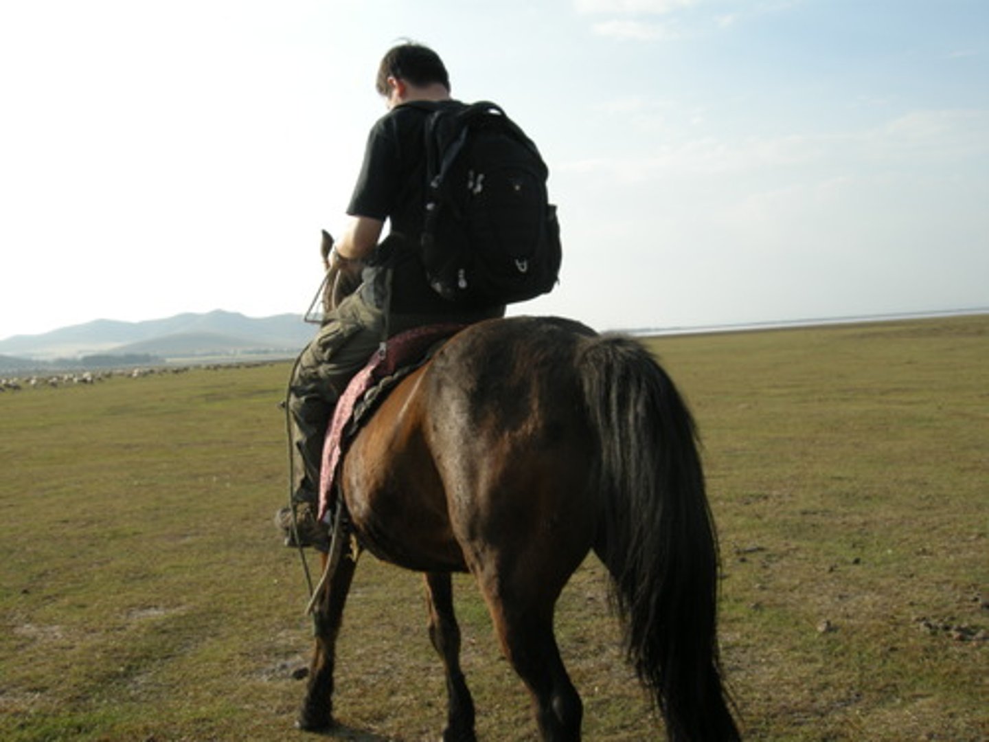 <p>qí</p><p>(to ride)</p><p>骑马； 骑自行车</p>