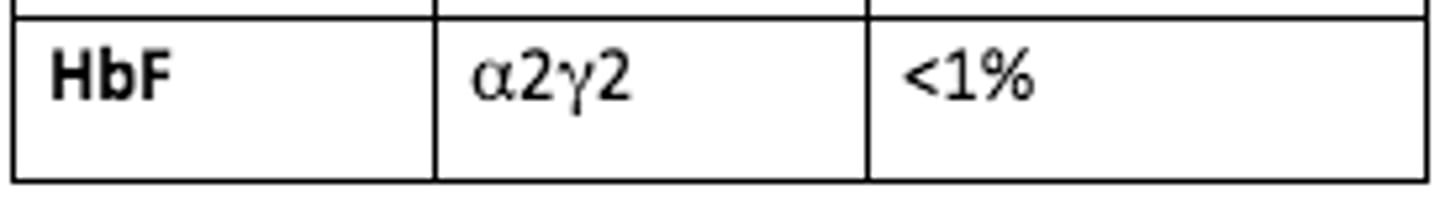 <p>HbF = a2γ2 = &lt;1%</p>