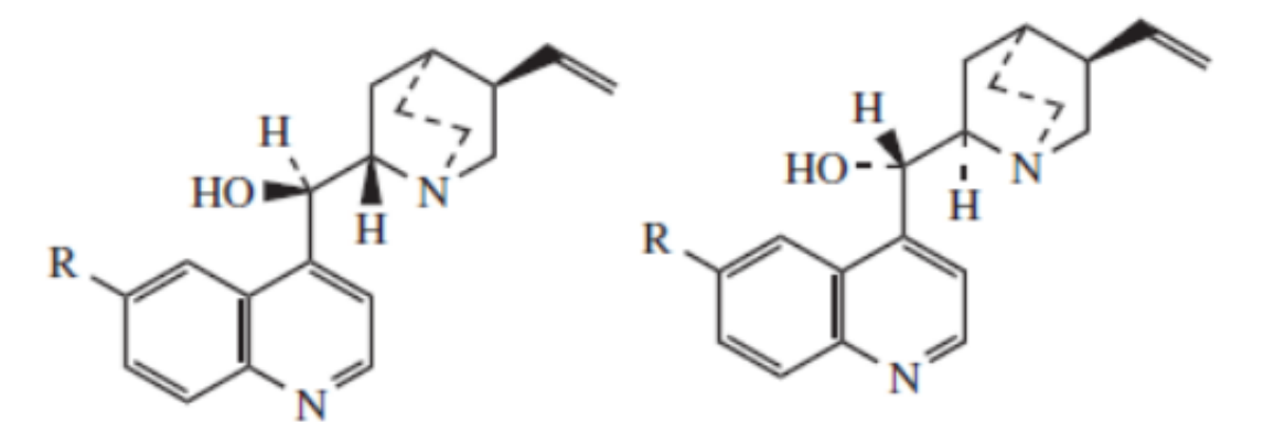 <p>cinchona alkaloids</p><p>Cinchona sp (Rubiaceae) </p><ul><li><p>Bark: febrifuge </p></li><li><p>Antimalarial (but its original use is for fever) </p></li><li><p>Quinine: MDR malaria </p></li><li><p>Quinidine: arrhythmia </p></li></ul>