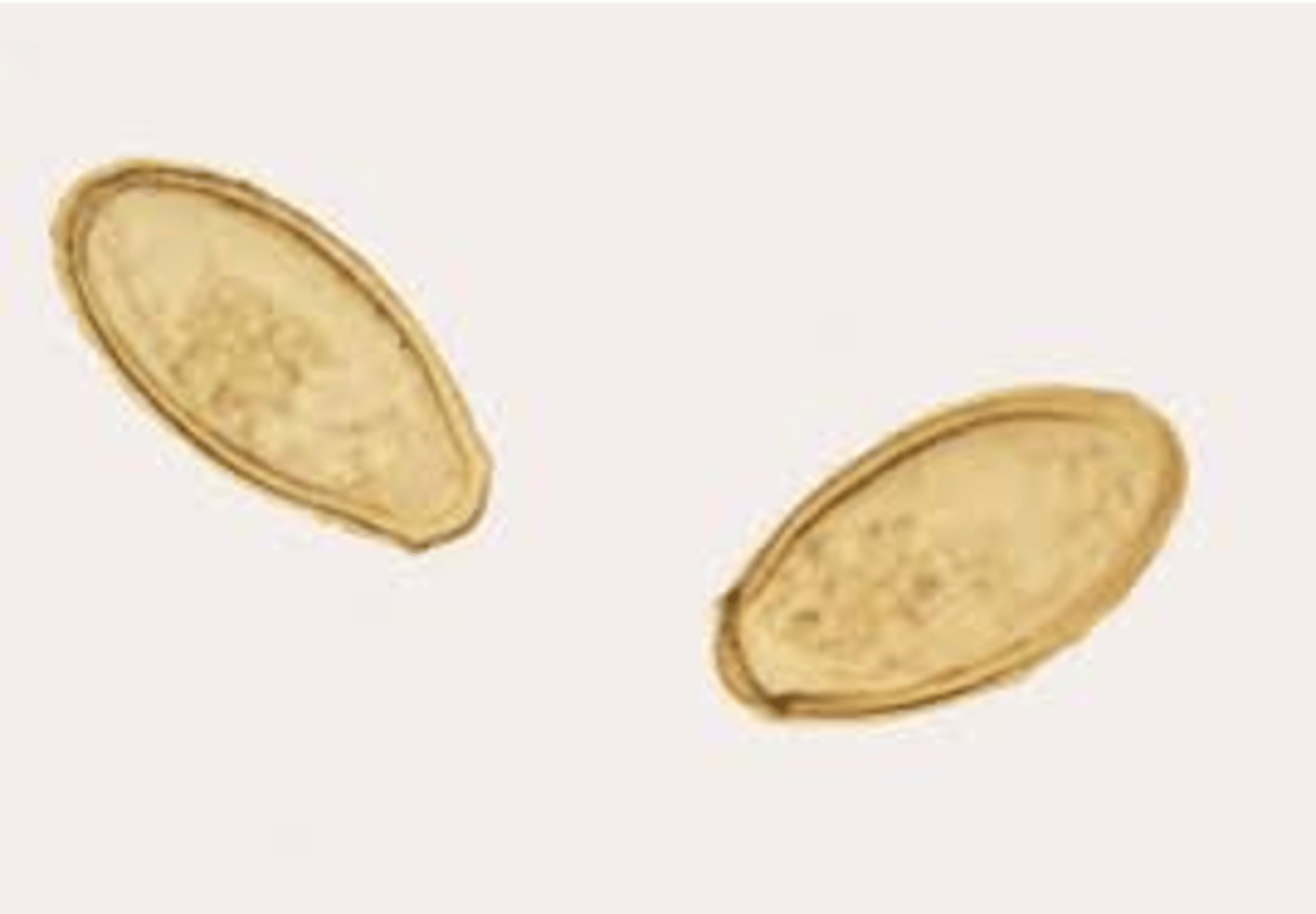 <p>looks like pumpkin seed, has apex</p>
