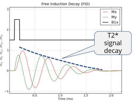 <p>describe T2 decay</p>