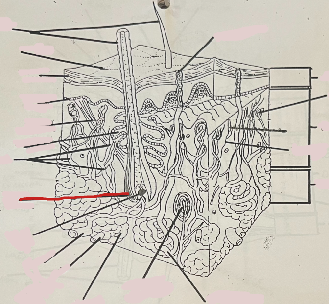 <p>What is this?</p>
