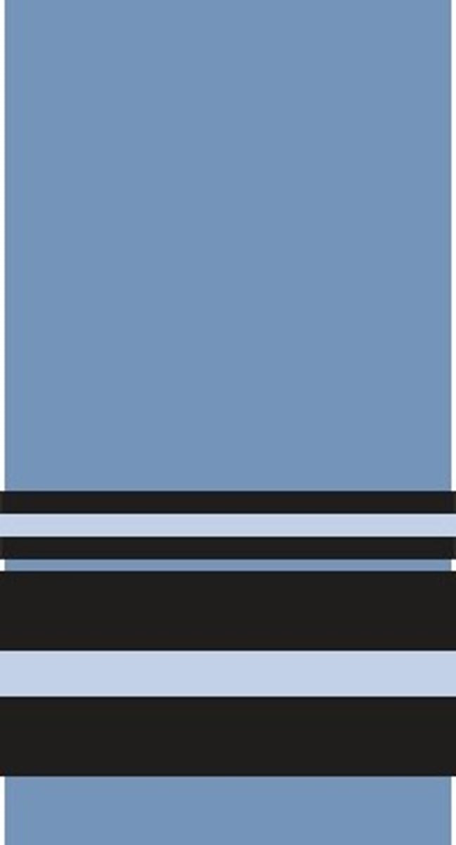 <p>Air vice marshal</p>