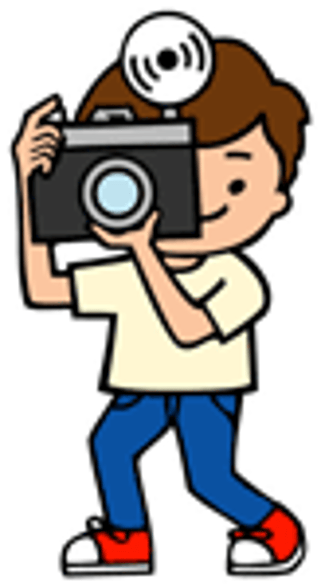 <p>picture; photograph</p>