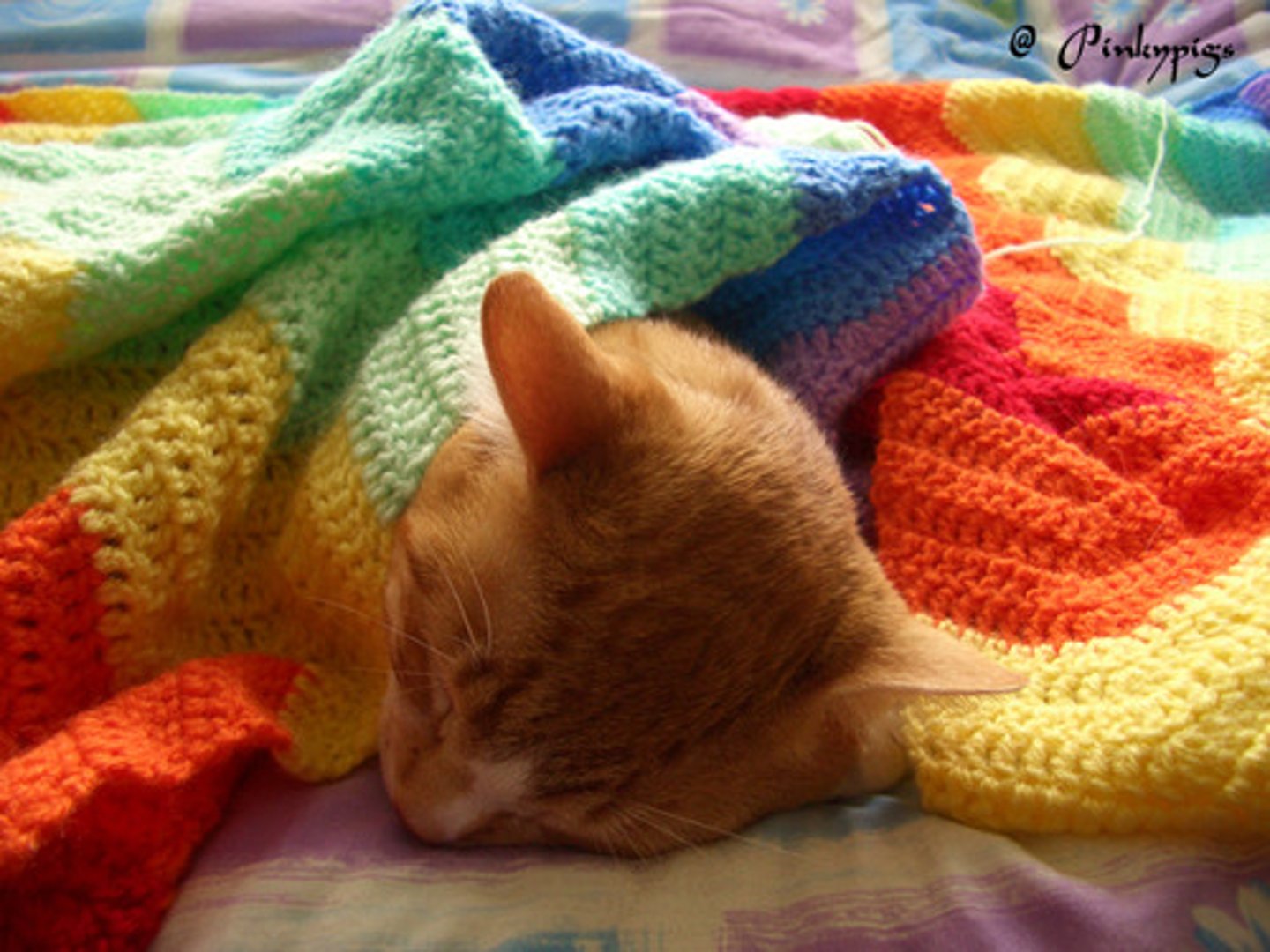 <p>comfortable, cozy</p>