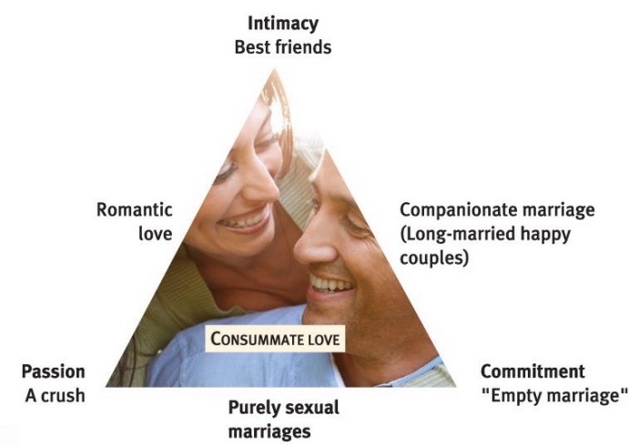 <p>Three components of adult love relationships:</p><ol><li><p>Passion (sexual arousal)</p></li><li><p>Intimacy (feeling of closeness)</p></li><li><p>Commitment (marriage/exclusivity)</p></li></ol><p>Change across relationship: passion → intimacy → commitment</p><p>Keeping passion and intimacy takes work.</p>