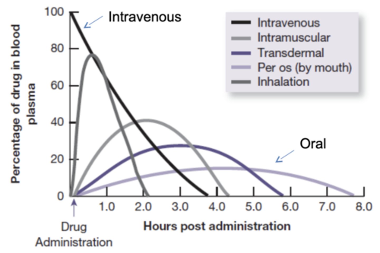 <p>1. how much drug reaches blood stream</p><p>2. speed of absorption (may contribute to abuse)</p>