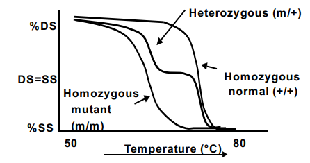 <ul><li><p>when the DS-DNA specific dyes intercalate with the DNA it will be at 100% fluorescence but as it denatures, there will be a loss in florescence since it is going to single stranded</p></li><li><p>in a homozygous mutant = curve will start to lose its fluorescence and turn into single stranded DNA at a cooler Tm</p></li><li><p>in a wild type/normal = curve will start to lose its fluorescence and turn into ssDNA at a hotter Tm </p></li><li><p>in a heterozygous mutant = curve will mimic both the wild type and homozygous mutant </p></li></ul><p></p>