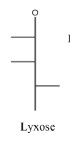 <p>pent- aldose</p><p>L, L, R</p>