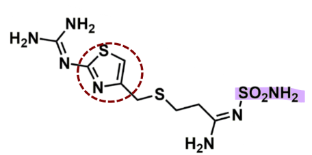 <ul><li><p><u>pharmacophore:</u> <strong>thiazole</strong></p><ul><li><p>does not interact with CYP450 enzymes</p></li></ul></li><li><p>risk of sulfa-allergies </p></li><li><p>contains EWG - very potent binding affinity</p></li><li><p>contains double bonds- sensitive to light</p></li><li><p>20x more potent and selective vs cimetidine</p></li><li><p>longer duration or action </p></li></ul>