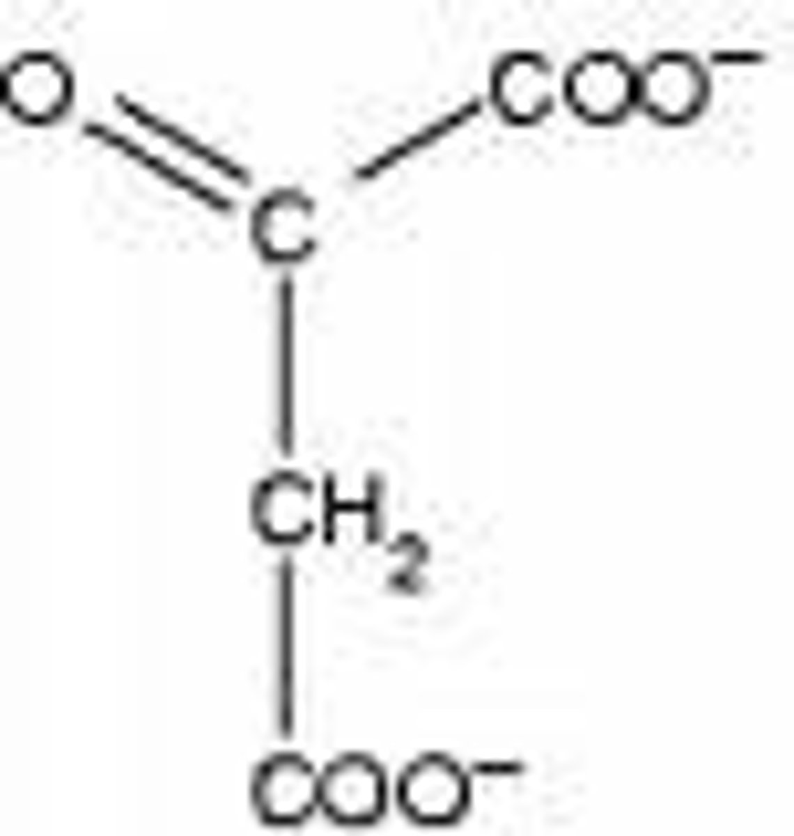 <p>(D) Oxaloacetate</p><p>Pyruvate is converted to Oxaloacetate to enter Gluconeogenesis.</p>