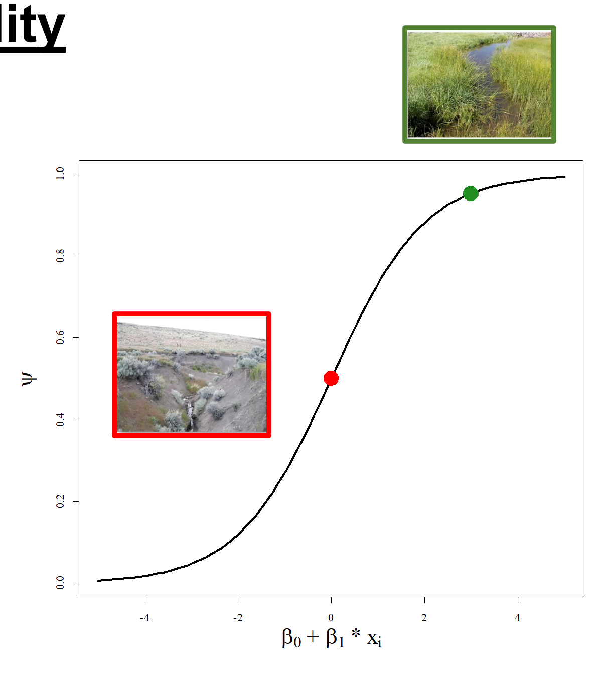 <p>logit(psi) = Beta0 + Beta1*xi</p><p>B1 is the influence that the presence of the confounding variable has on occupancy</p><p>Where xi is confounding variable (restored/grazed) </p><p>Graphed on x with y being proportion of sites at that state with occupancy</p>