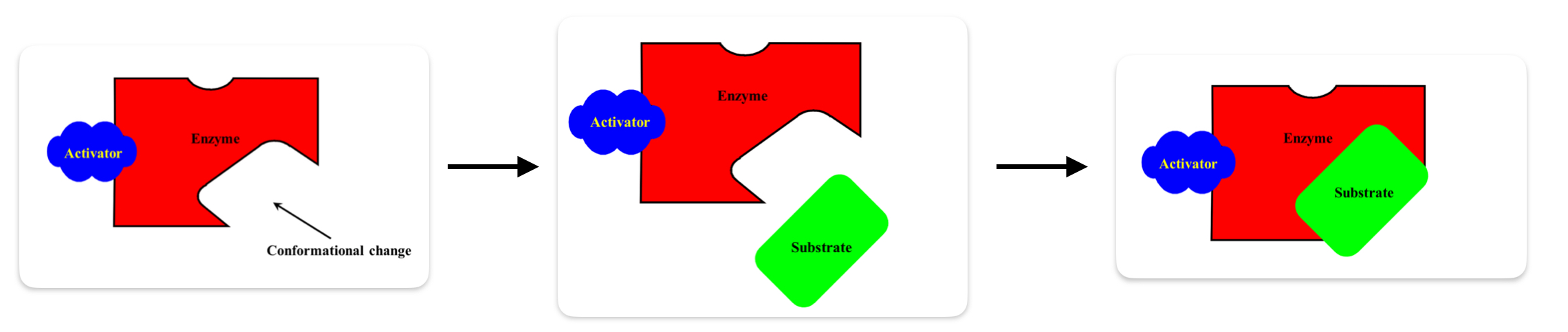 <p>What is allosteric activation?</p>