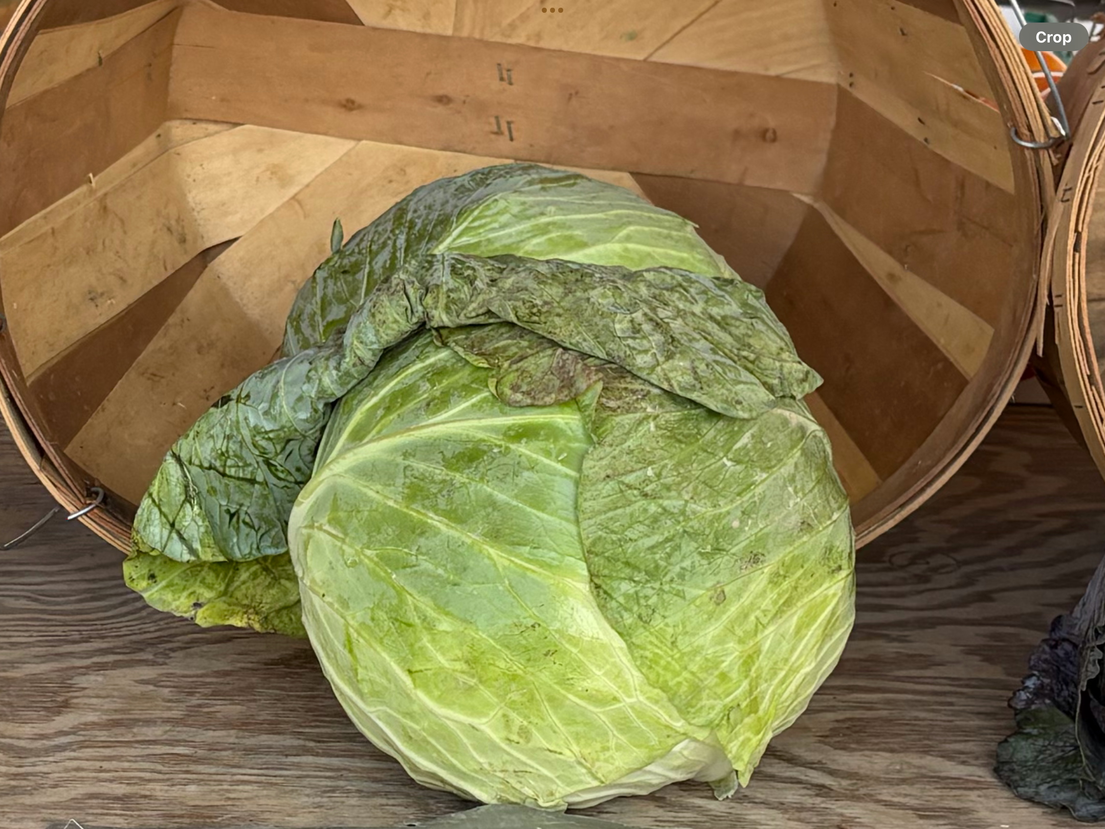 <p>cabbage/red cabbage</p>