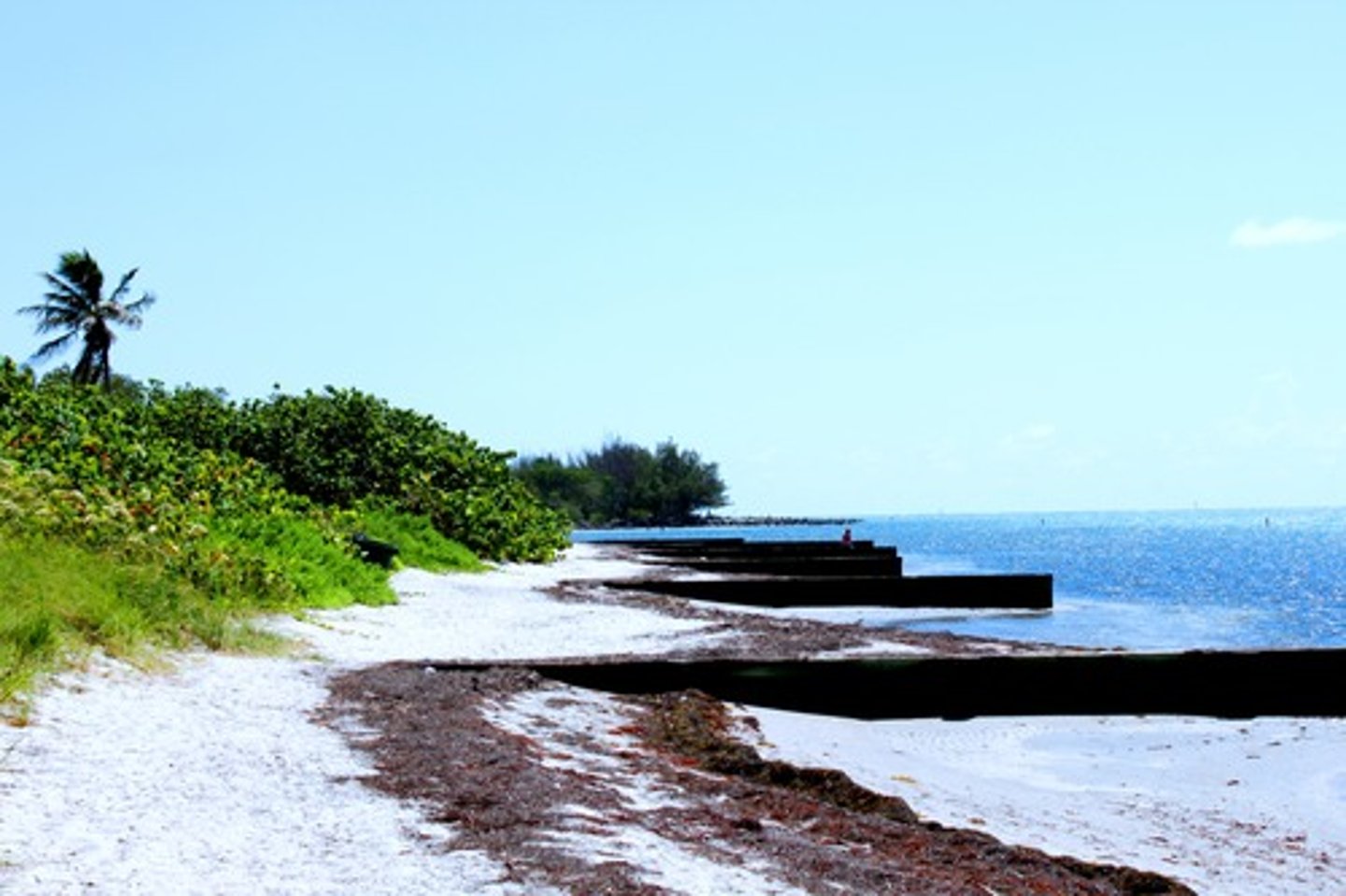 <p>Florida</p>