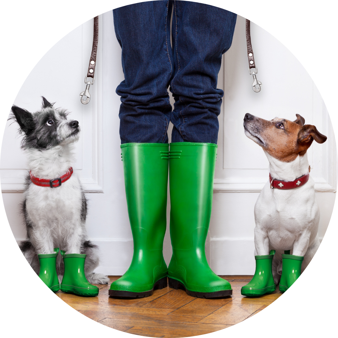 <p><span><strong>to put on special shoes that keep your feet dry in wet weather</strong></span></p><p><span>When it rains, I wear rain boots so that my feet stay dry and warm.</span></p>