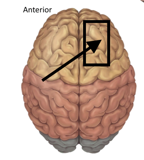 <p>Name the structure</p>