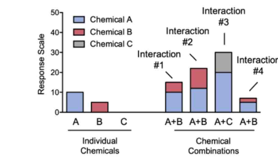 <p>identify the chemical interactions that are taking place</p>